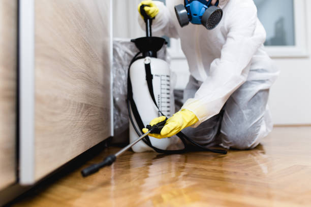 Best Affordable Pest Control Services  in Floris, VA