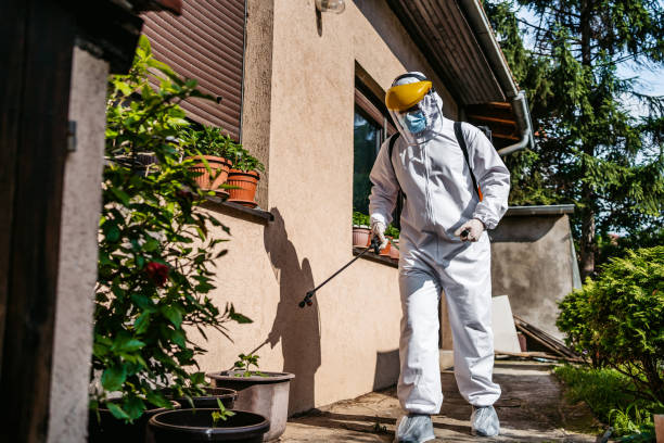 Best Cockroach Control Services  in Floris, VA
