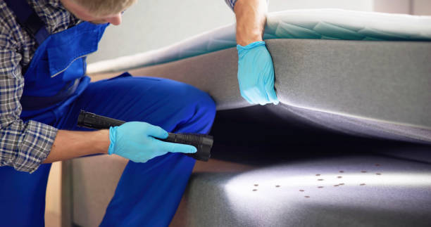 Best Pest Control for Businesses  in Floris, VA