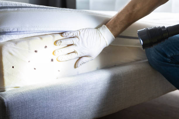 Best Best Pest Control Companies  in Floris, VA