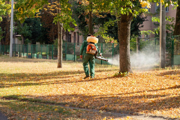 Best Rodent Control Near Me  in Floris, VA