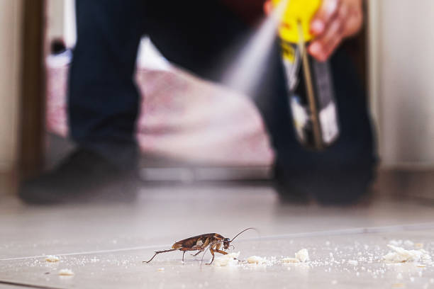 Best Wildlife Control Services  in Floris, VA