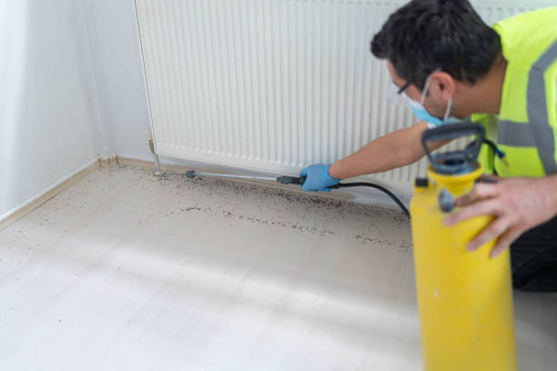 Best Exterminator Services  in Floris, VA