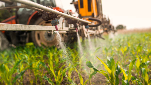 Reliable Floris, VA Pest Control Solutions